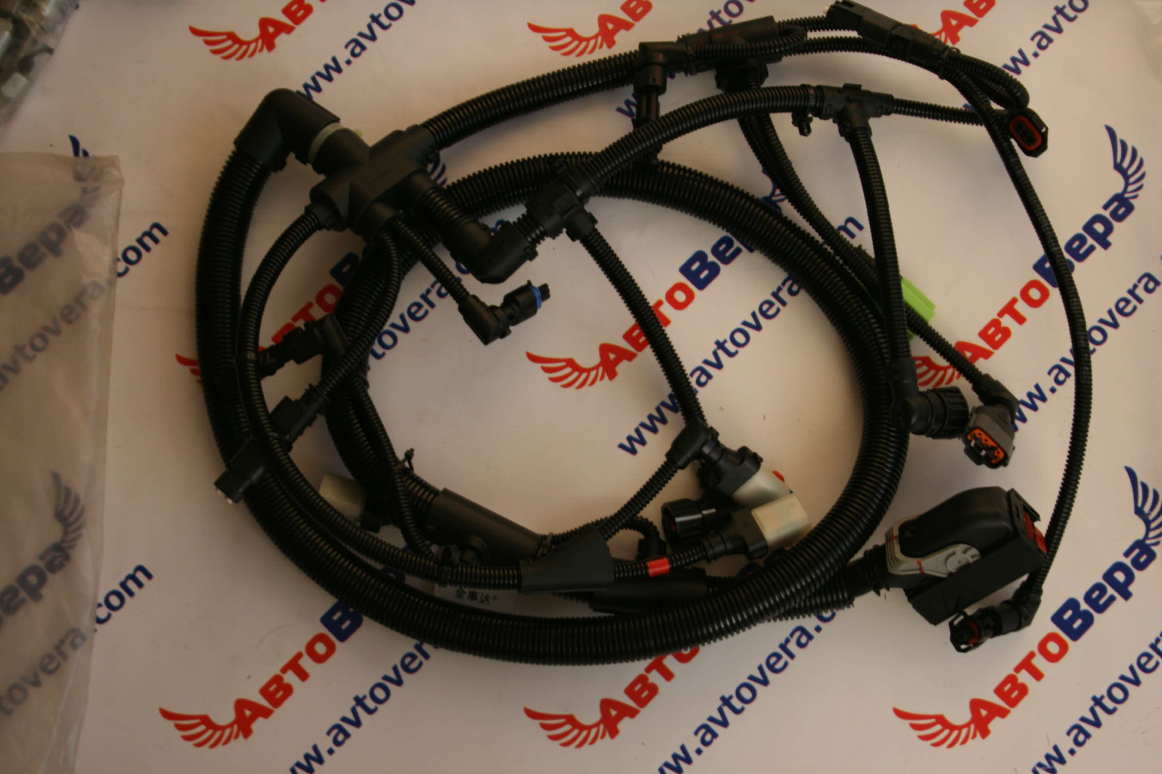 Лесби чаты Пенза