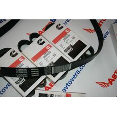 Ремень 8PK1230 Cummins ISBe 4898546