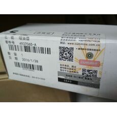 Топливная форсунка 4937065 (Евро-3, 6ISBe 6.7л)