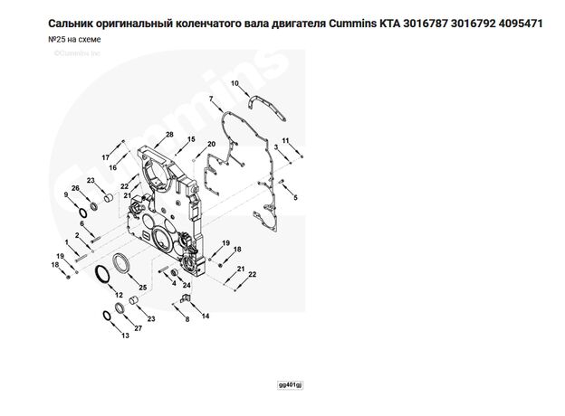 Сальник передний коленчатого вала Cummins KTA19 3016792