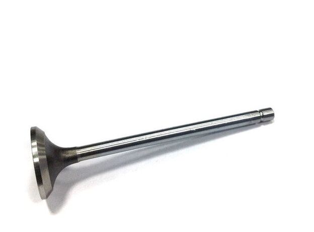 Клапан выпускной двигателя Cummins ISF 2.8 5256949 Газель-Бизнес Камминз