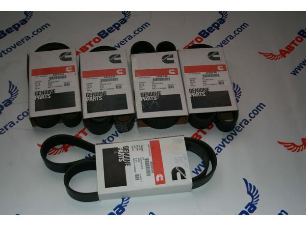 Ремень 8PK1230 Cummins ISBe 4898546
