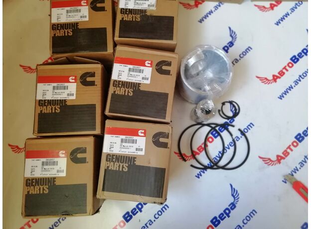 Поршень в сборе  6CT Cummins 3929161 3802657