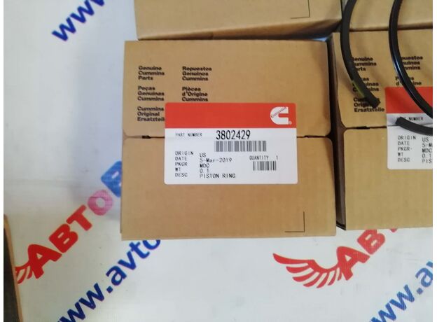 Кольца поршневые Cummins 6CT, ISC, QSC 3922686 / 3802429