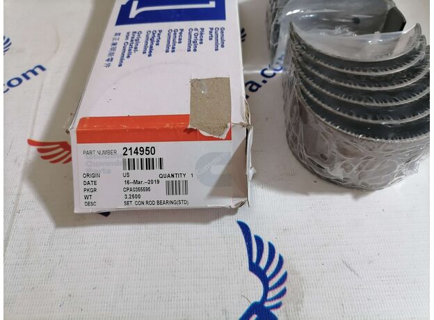 Вкладыши шатунные, комплект NTA855, N14 214950